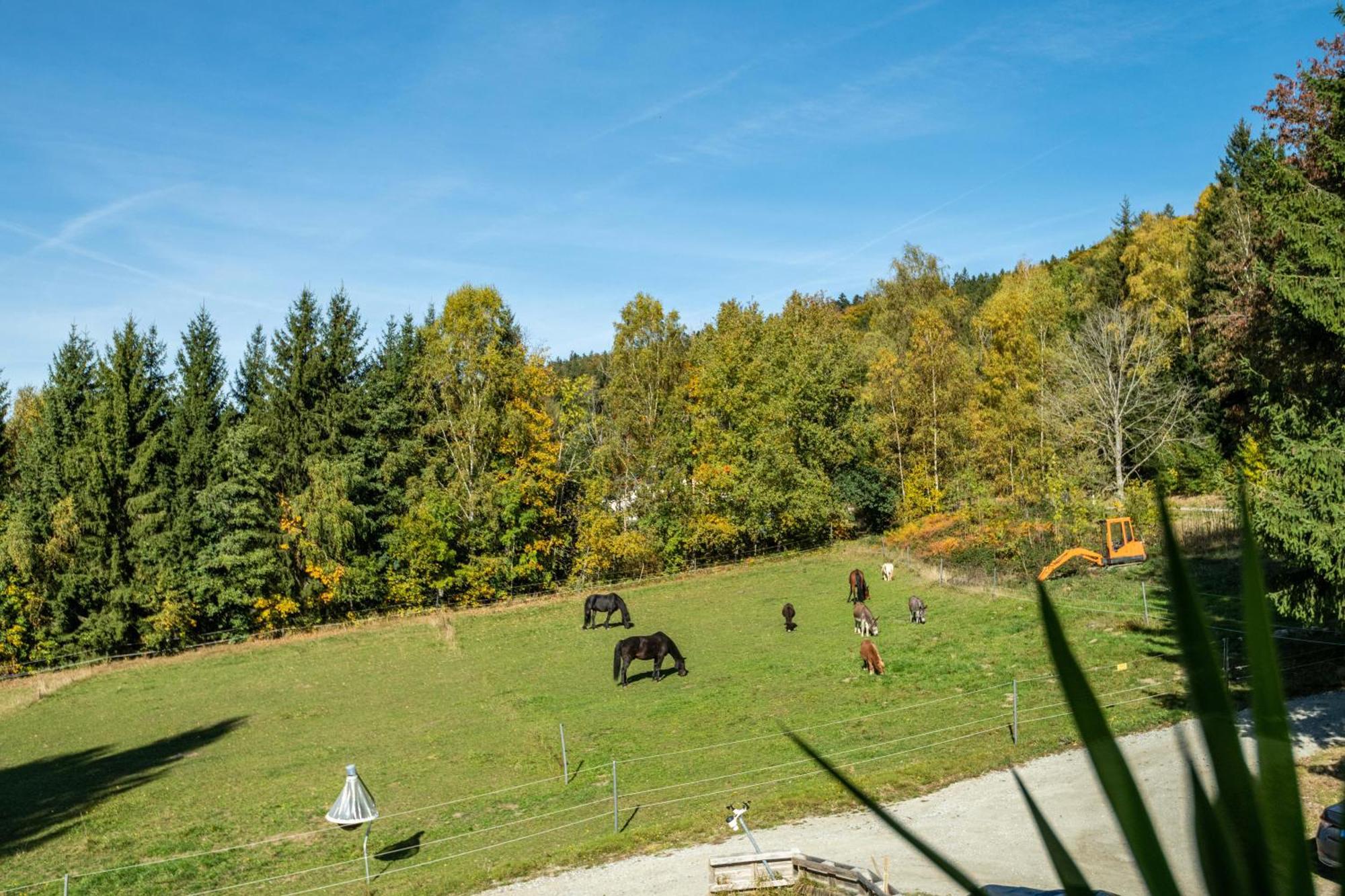 Fuchswiese Thurmansbang Dış mekan fotoğraf